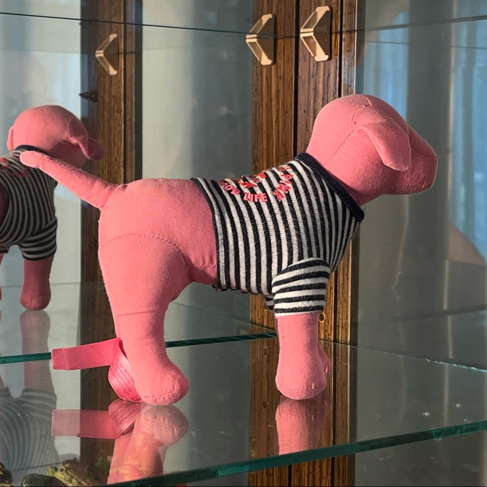 Victoria’s Secret plush dog, December 2006